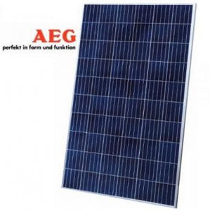 AEG Industrial Solaire AS-P605 Module solaire 275 275WP